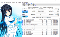 SSD512b.png